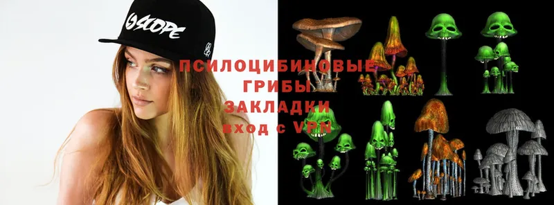 мега рабочий сайт  Закаменск  Псилоцибиновые грибы Psilocybe 